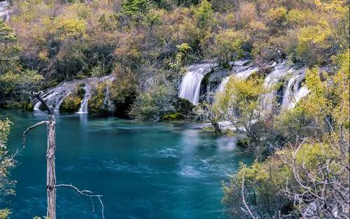 高效智能可靠性